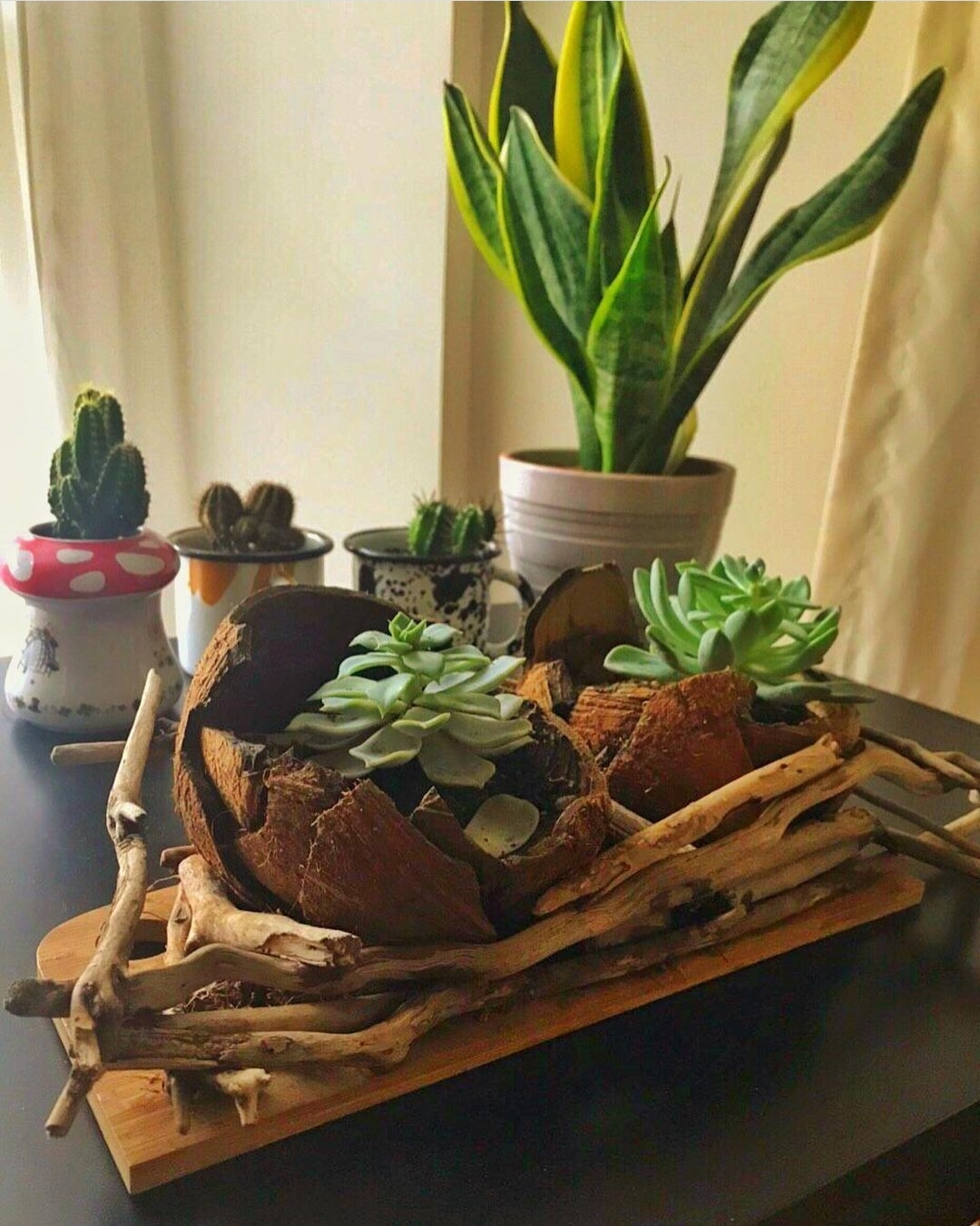 özel gün hediyesi, kişiye özel hediye, hediye fikirleri, rustik dekor atölye, sevgiliye hediye, sevgililer günü hediyesi, doğum günü hediyesi, hediye mağazası, rustik dekor atölye Hİndİstan cevİzİ kabuğundan saksı nasıl yapılır?